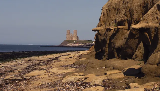 Cliffs at Reculver (G Downer)