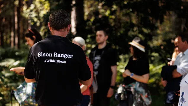 Bison Ranger at bison festival