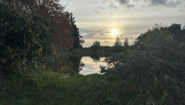 Heather Corrie Vale, pond and sunset