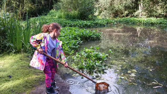 Child wearing a colourful coat dips her net into a river to find the wildlife that lives there