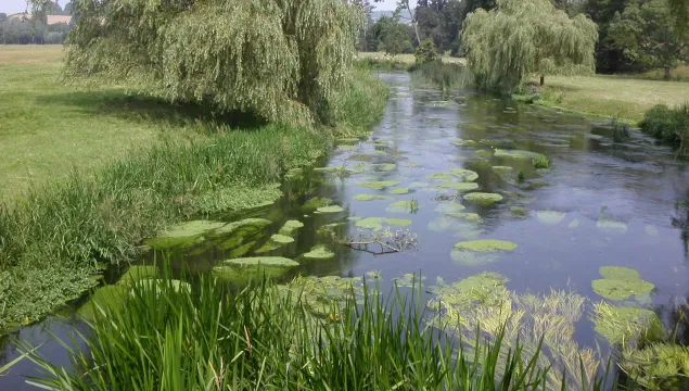 Great Stour Godmersham