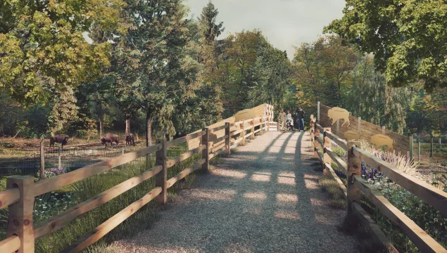 Bison bridges