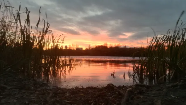 Conningbrook Lake at sunset