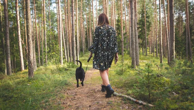 Woman wearing flowery dress walking a medium sized dark dog through a woodland on a lead