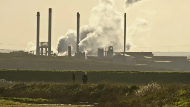 Elmley RSPB Nature Reserve