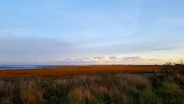 Sandwich and Pegwell Bay - Vicky Aitkenhead