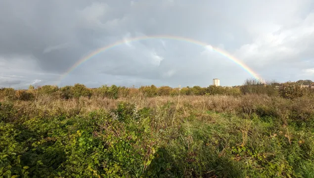 A rainbow over Dane Valley Woods