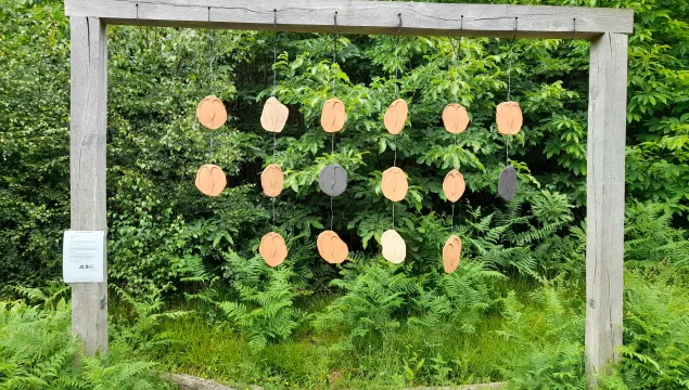 The Returning Trail by Tiffany Tu