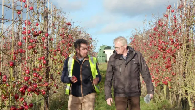 Two men in warm clothes talking while walking through an apple orchard.