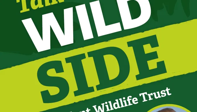 Talk on the wild side podcast artwork by Katy McCarten