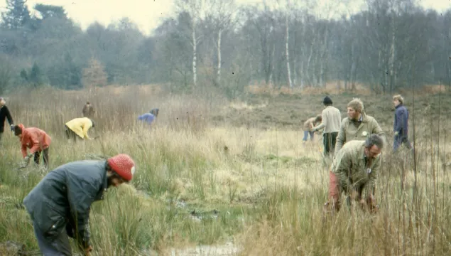 Tree pulling Hothfield Winter 1981