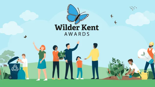 Wilder Kent Awards illustration