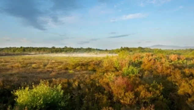 Ballynahone bog