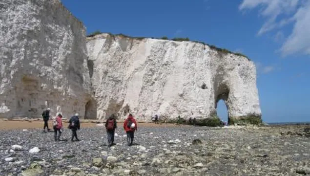 botany bay - bryony chapman