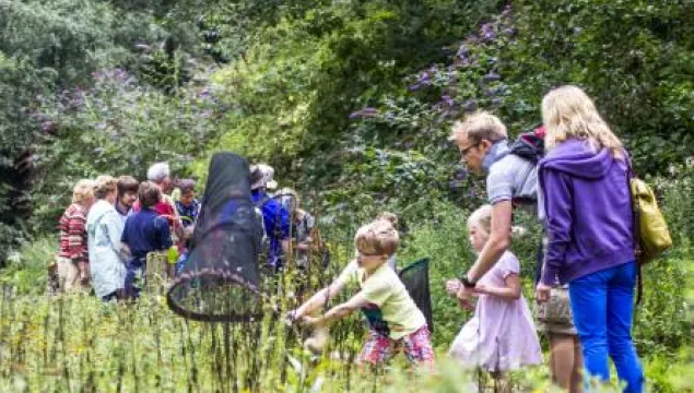 festival of wildlife - thomas alexander
