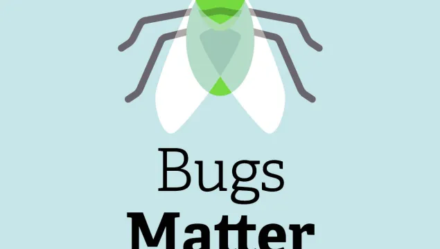 Bugs matter illustration