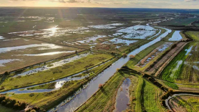 A photo from above Minster Marshes, showing the water glowing in the sun.