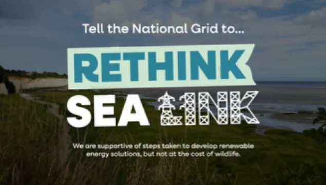 Rethink Sea Link Logo over an image of Sandwich and Pegwell Bay by Vicky Aitkenhead