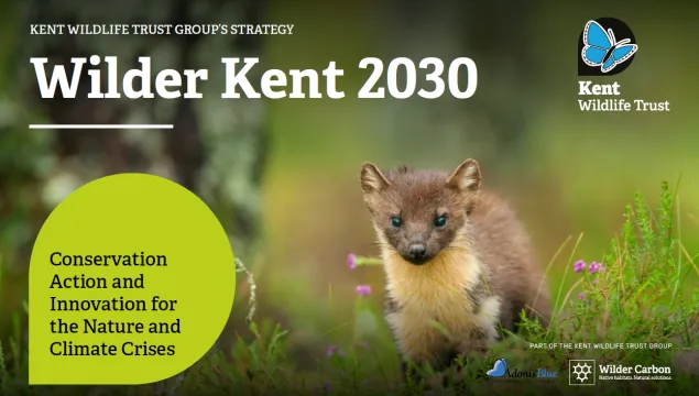 Wilder Kent 2030