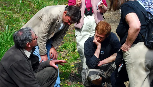 Wildflower ID Romney Marshes - Suzsanna Bird