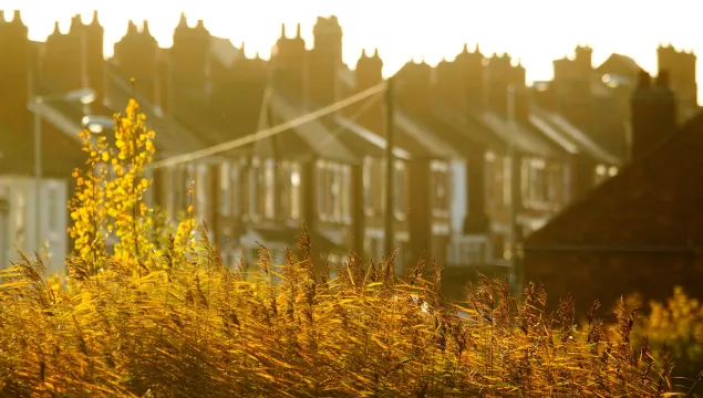 Housing and a reed bed in the sun by Ben Hall/2020VISION