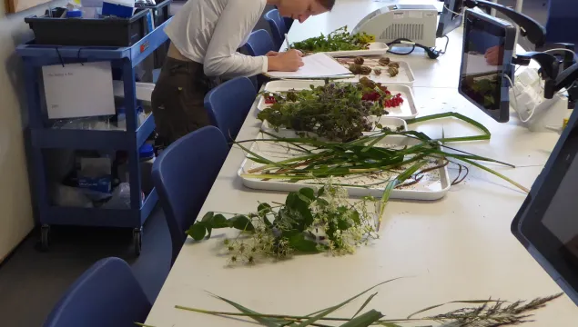 Botany study day with lots of plants laid out on a table with a screen and microscope