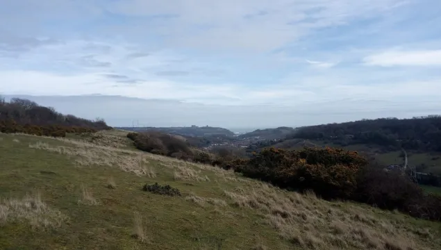 Dover downlands view