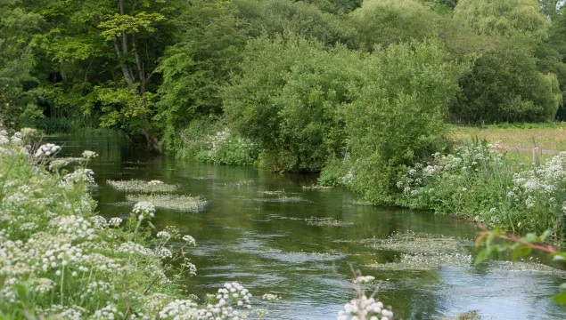 Chalk stream river