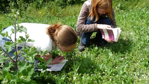 wildlife study days