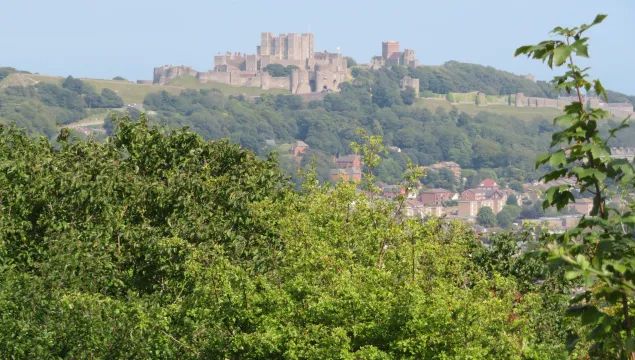 View of Dover Castle from Coombe Down Nature Reserve