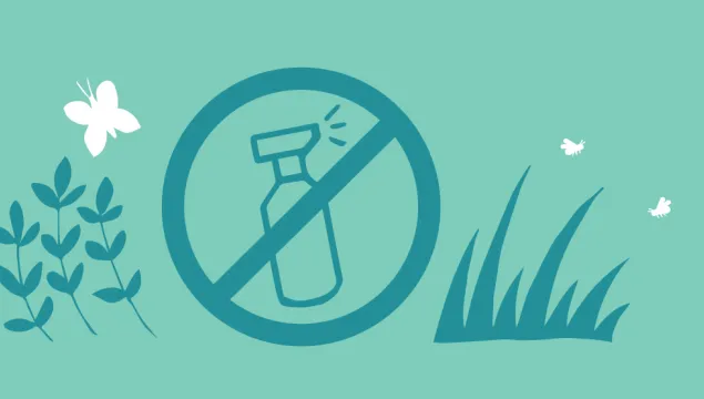 chemical free illustration