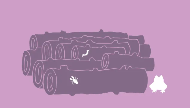 log shelter illustration