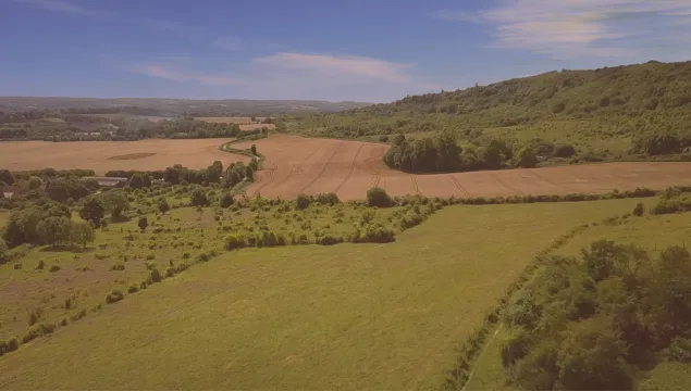 Polhill bank from above, with various fields.