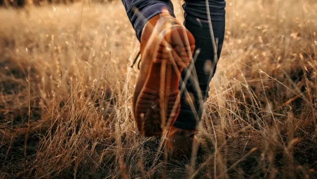 Close up of a person walking through tall, yellowed grass with tan leather walking boots