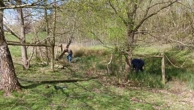 Weald volunteering update stile