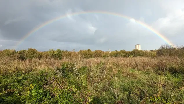 A rainbow in a grey sky over a field.
