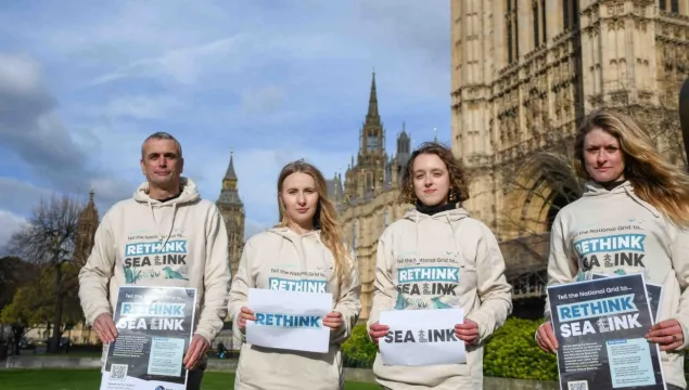 Four Kent Wildlife Trust employees outside the Houses of Parliament in Rethink Sea Link hoodies.