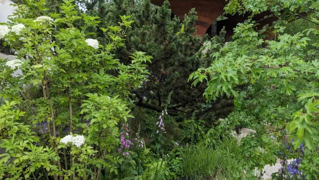 A path and metal structure amongst greenery at Chelsea Flower Show