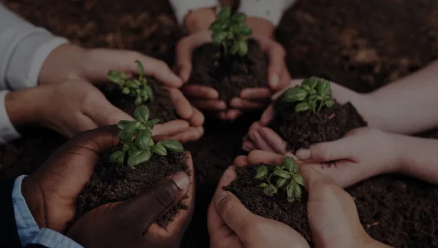 A group of hands together holding seedling plants