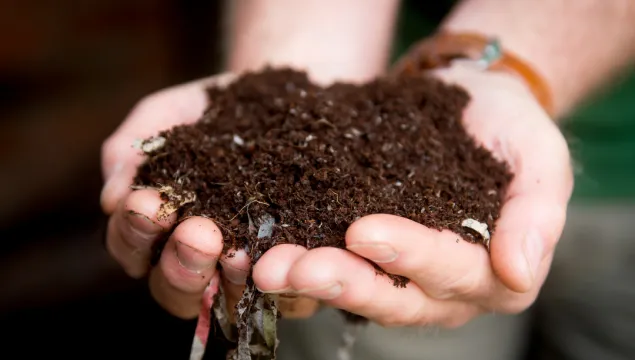 Two hands holding peat-free compost.