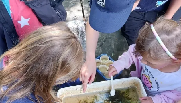 pond dipping finds as tutor looks into water with kids on a wilder holiday club