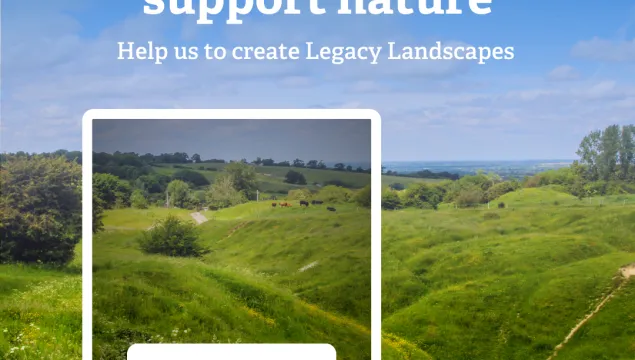 Legacy Landscapes Promo Image