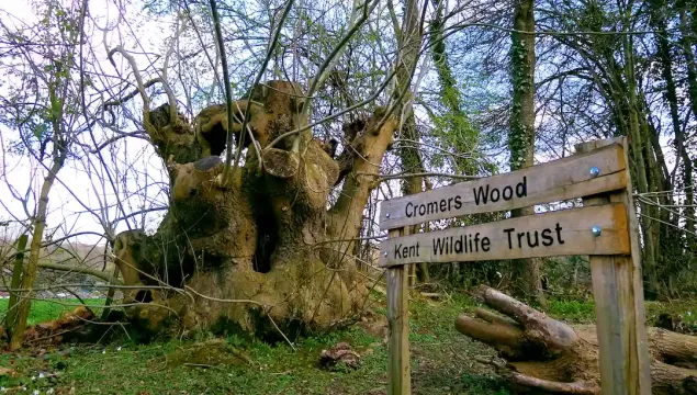 Cromers Wood Welcome sign