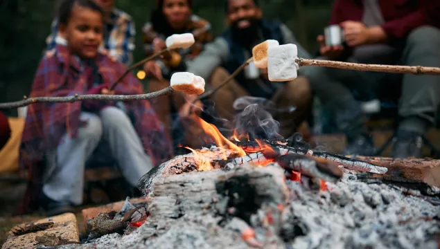 Campfire Cooking