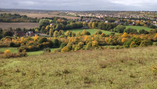 View from darland banks