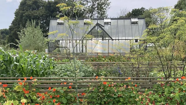 A vegetable garden with a greenhouse