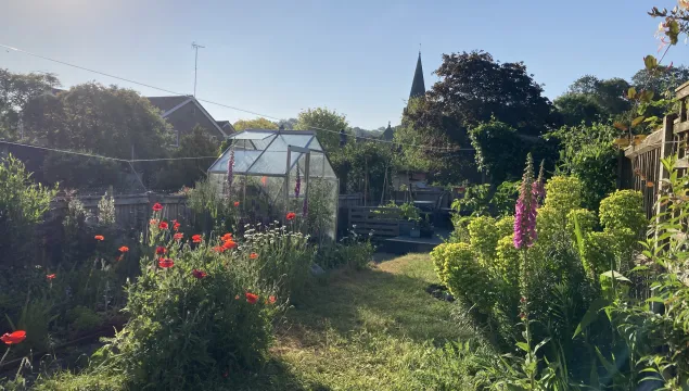 Wildlife garden in Kent