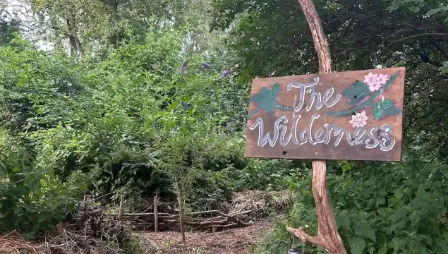 A wooden sign that reads 'The Wilderness' in front of a garden path.