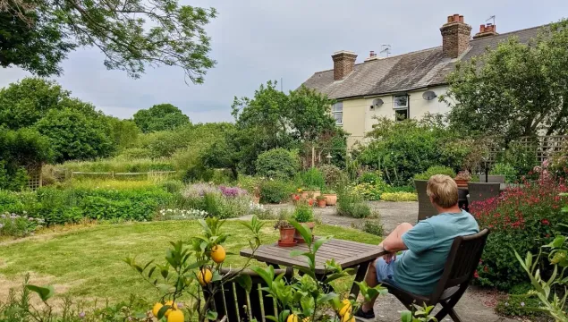 A person sat on a garden chair in a garden, with lemons in the foreground.