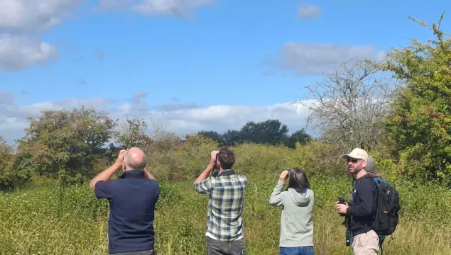 Four people bird watching with binoculars.